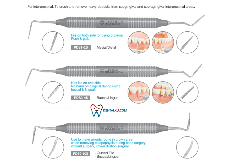 Periodontal File Scaler | Scaler | DENTALKU.COM