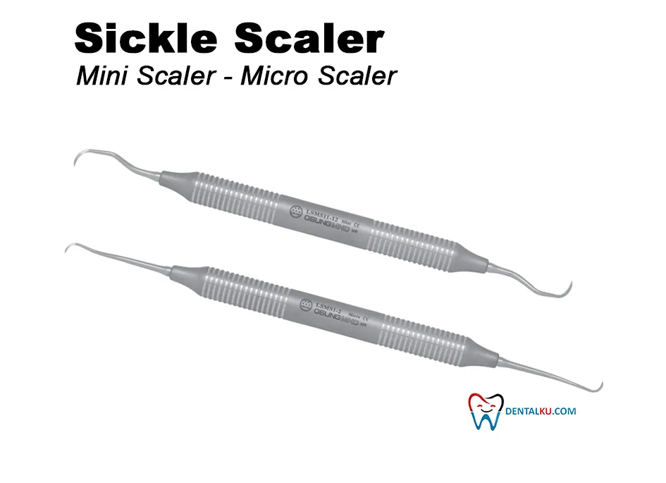 Sickle Scaler (Mini Scaler & Micro Scaler) | Scaler | DENTALKU.COM